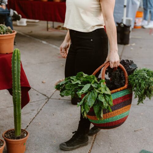 Person carrying a shopping tote in a farmers market
