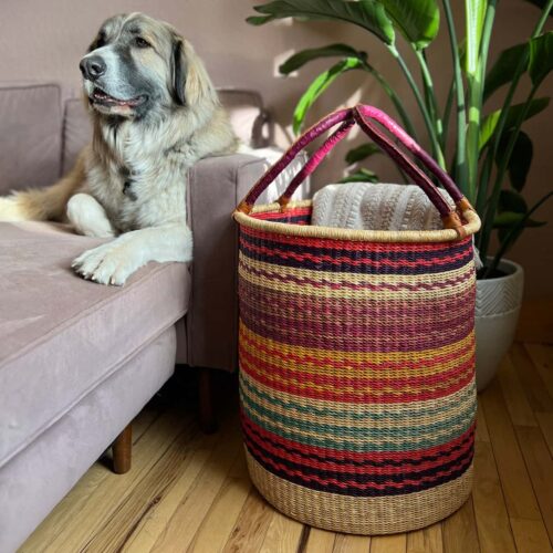 Set of Two Laundry Baskets in a home with a dog