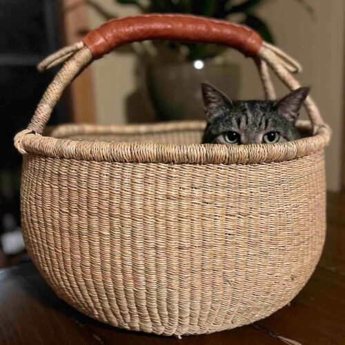 Cat peeking out of a Natural Round Ghana Market Basket