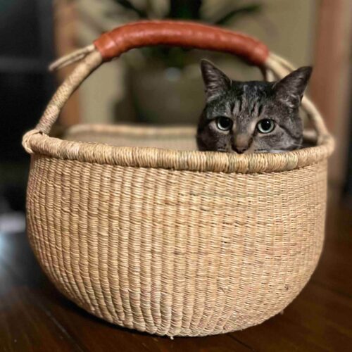 Cat inside a Natural Round Ghana Market Basket